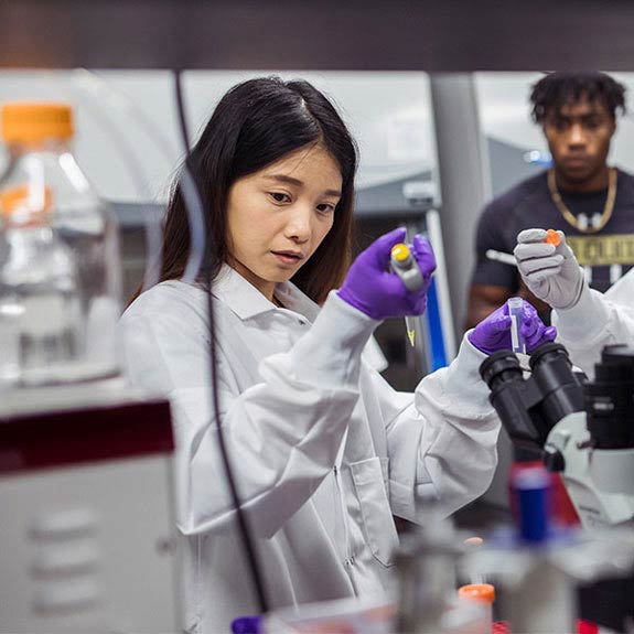 student in the last working with test tubes